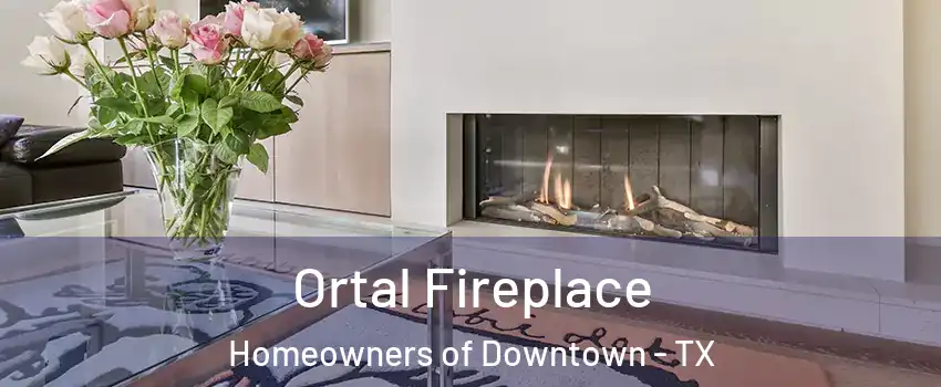 Ortal Fireplace Homeowners of Downtown - TX