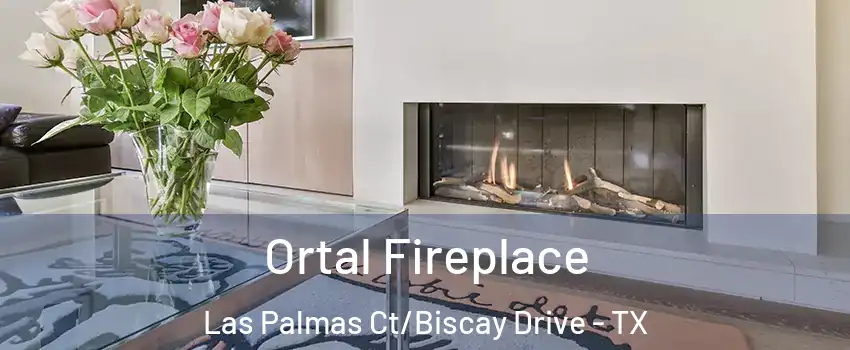 Ortal Fireplace Las Palmas Ct/Biscay Drive - TX