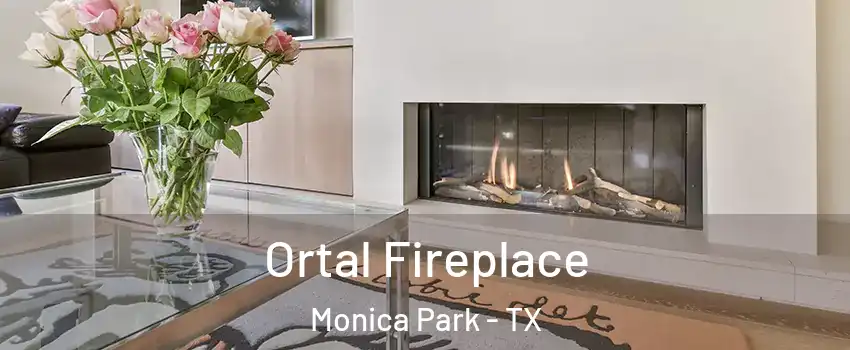 Ortal Fireplace Monica Park - TX