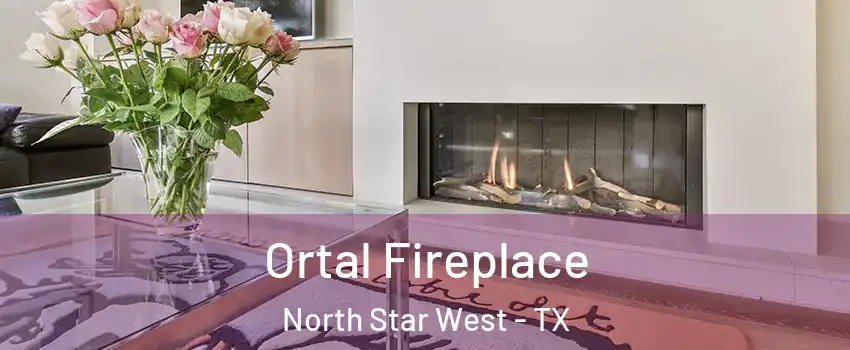 Ortal Fireplace North Star West - TX