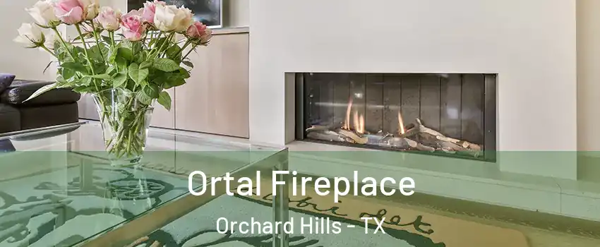 Ortal Fireplace Orchard Hills - TX