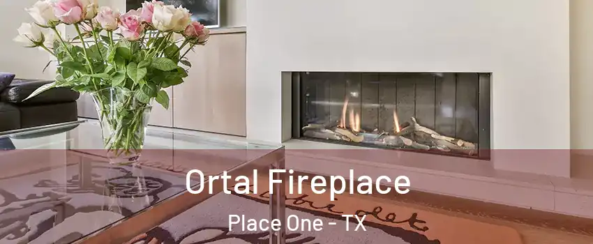 Ortal Fireplace Place One - TX