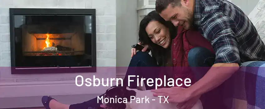 Osburn Fireplace Monica Park - TX