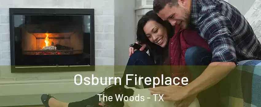 Osburn Fireplace The Woods - TX