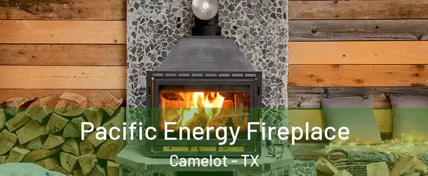 Pacific Energy Fireplace Camelot - TX