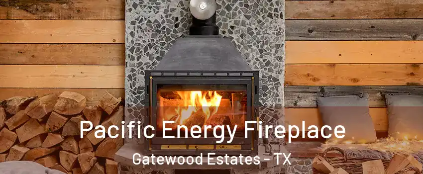 Pacific Energy Fireplace Gatewood Estates - TX