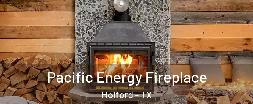 Pacific Energy Fireplace Holford - TX