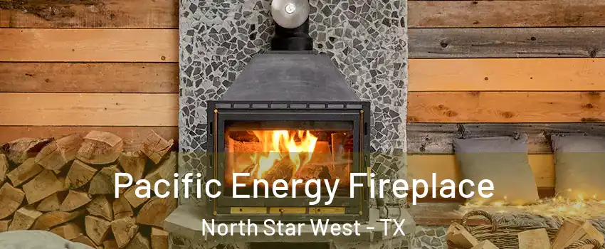 Pacific Energy Fireplace North Star West - TX