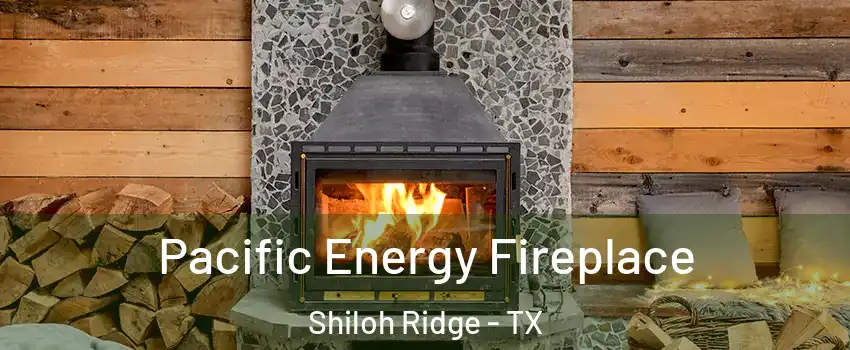 Pacific Energy Fireplace Shiloh Ridge - TX