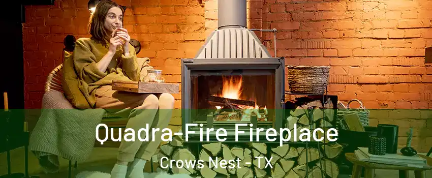 Quadra-Fire Fireplace Crows Nest - TX