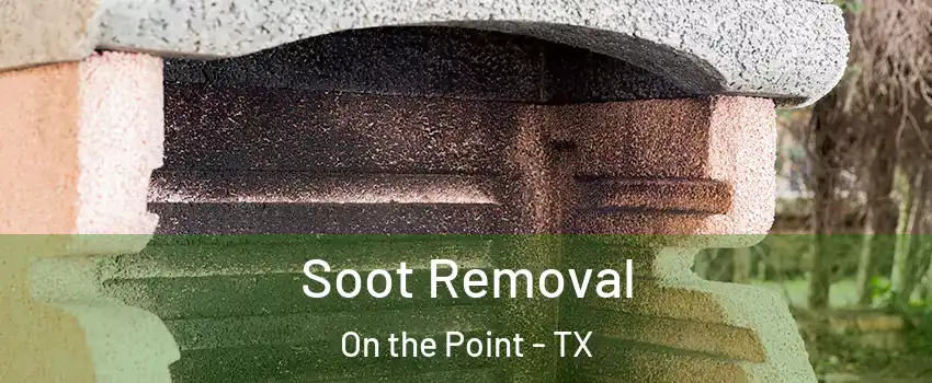 Soot Removal On the Point - TX