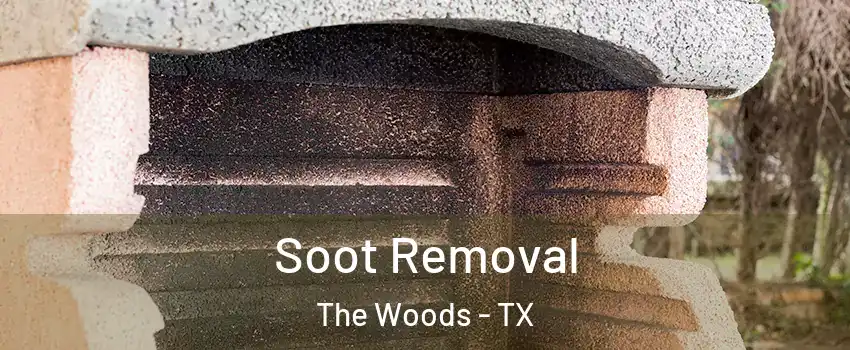 Soot Removal The Woods - TX