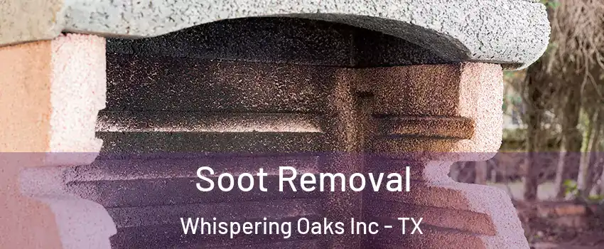 Soot Removal Whispering Oaks Inc - TX
