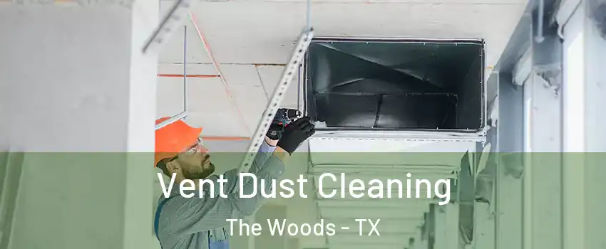 Vent Dust Cleaning The Woods - TX