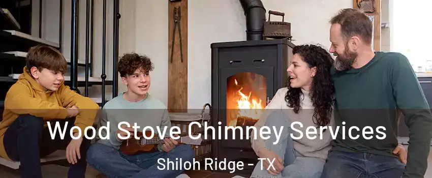 Wood Stove Chimney Services Shiloh Ridge - TX