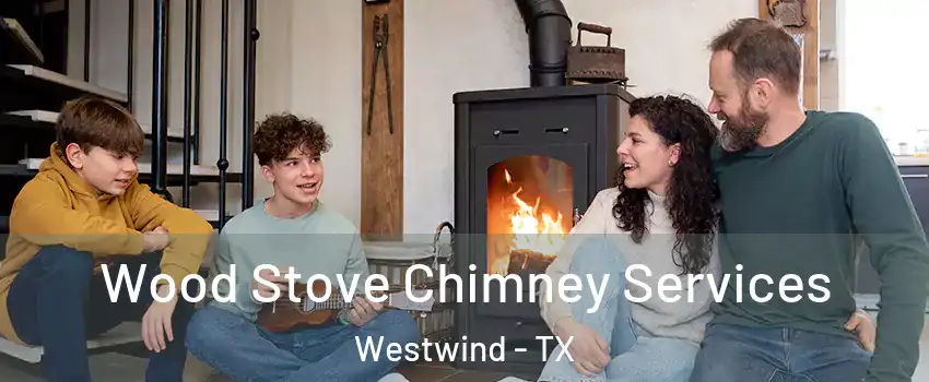 Wood Stove Chimney Services Westwind - TX