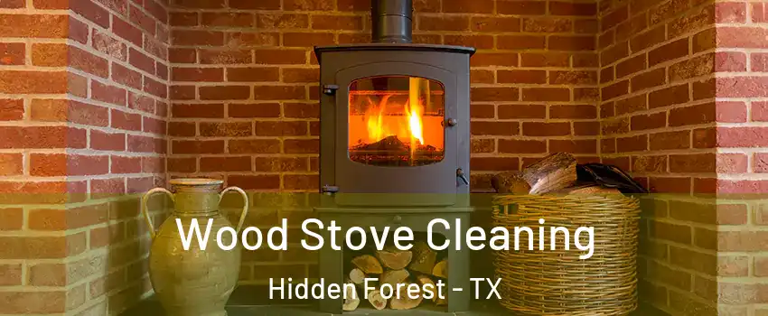 Wood Stove Cleaning Hidden Forest - TX