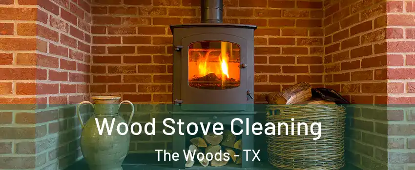 Wood Stove Cleaning The Woods - TX